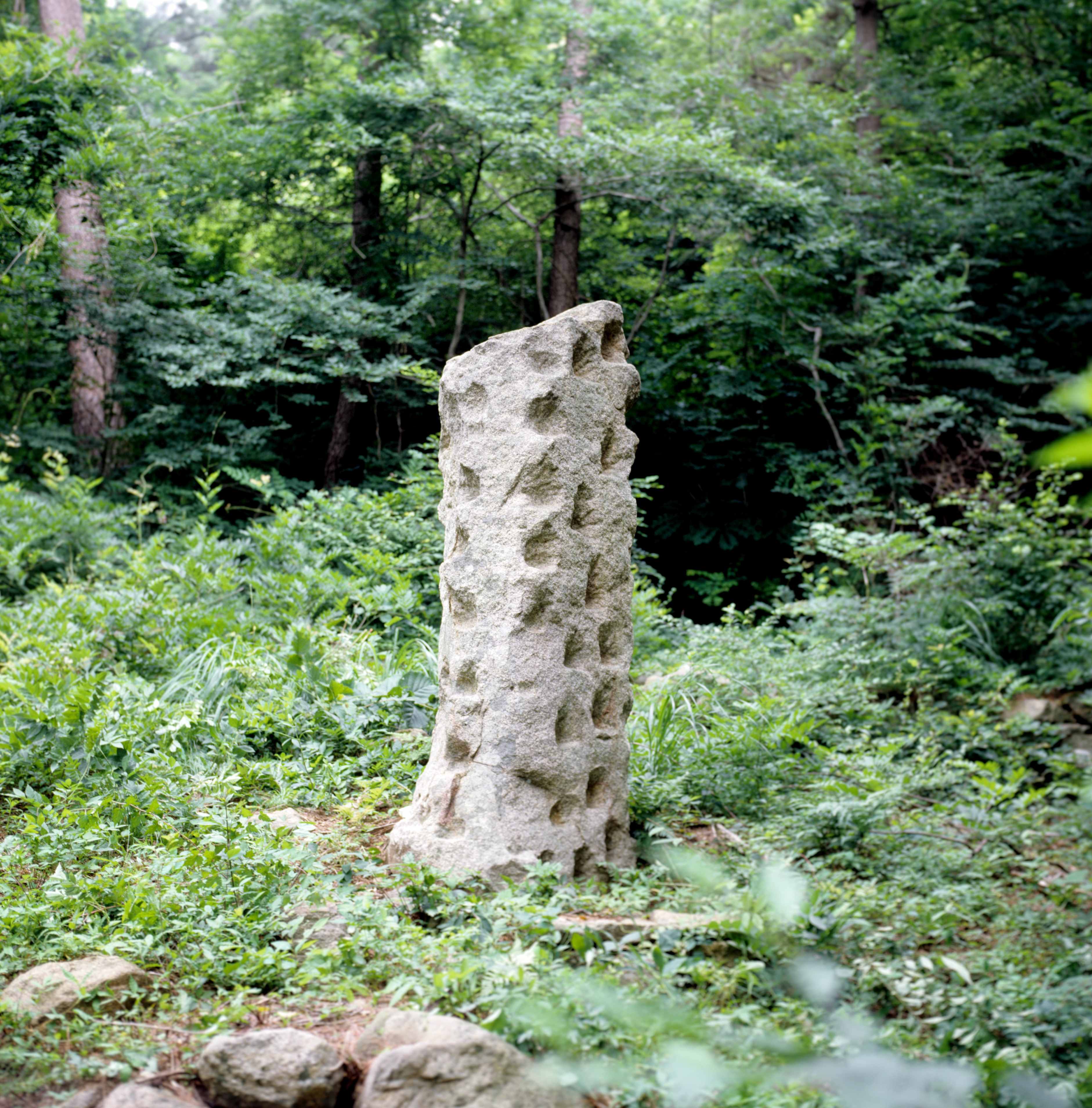 유적_383_경주남산_천동곡-천동탑 전경_경상북도_2000_경주_제1유형.jpg이미지